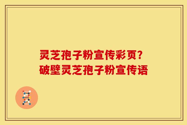 灵芝孢子粉宣传彩页？破壁灵芝孢子粉宣传语