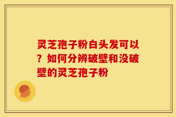 灵芝孢子粉白头发可以?如何分辨破壁和没破壁的灵芝孢子粉