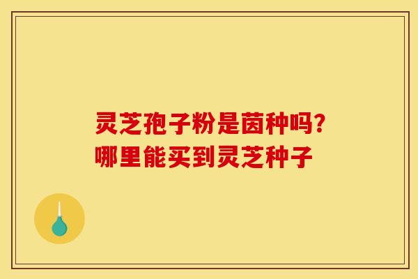 灵芝孢子粉是茵种吗?哪里能买到灵芝种子
