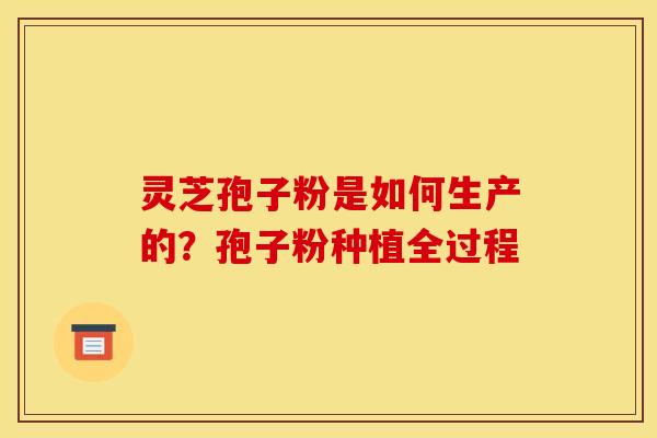 灵芝孢子粉是如何生产的？孢子粉种植全过程