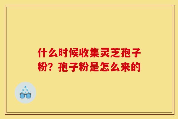 什么时候收集灵芝孢子粉？孢子粉是怎么来的