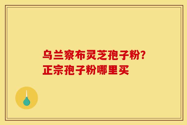 乌兰察布灵芝孢子粉?正宗孢子粉哪里买