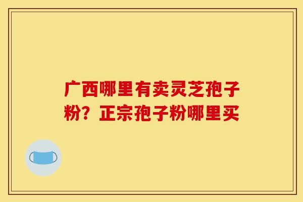 广西哪里有卖灵芝孢子粉？正宗孢子粉哪里买