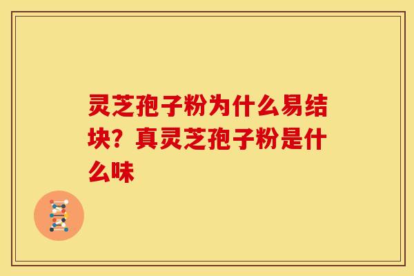 灵芝孢子粉为什么易结块?真灵芝孢子粉是什么味