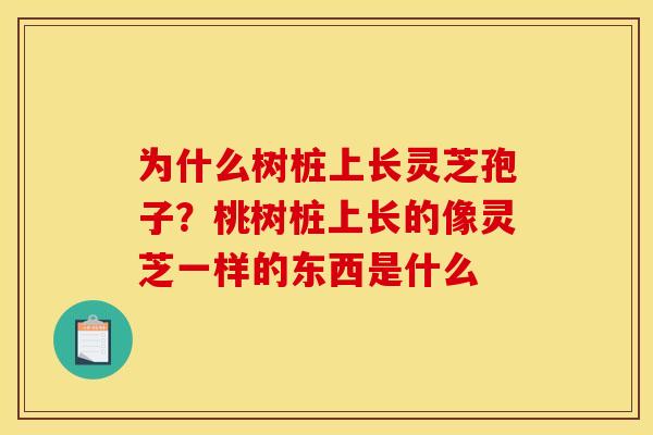 为什么树桩上长灵芝孢子？桃树桩上长的像灵芝一样的东西是什么
