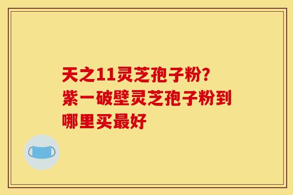天之11灵芝孢子粉?紫一破壁灵芝孢子粉到哪里买最好