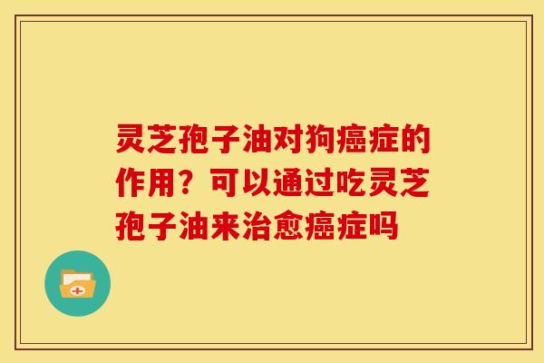灵芝孢子油对狗癌症的作用?可以通过吃灵芝孢子油来治愈癌症吗