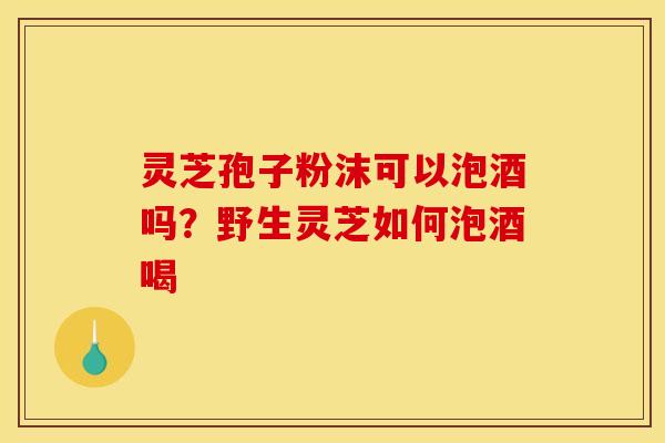 灵芝孢子粉沫可以泡酒吗?野生灵芝如何泡酒喝