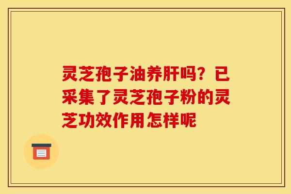 灵芝孢子油养肝吗?已采集了灵芝孢子粉的灵芝功效作用怎样呢