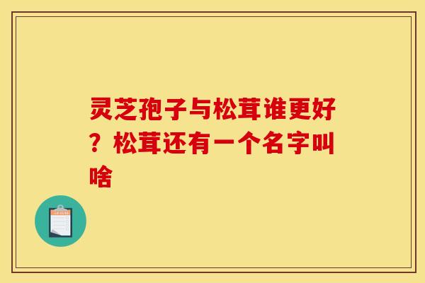 灵芝孢子与松茸谁更好?松茸还有一个名字叫啥