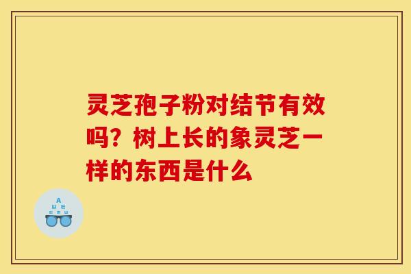 灵芝孢子粉对结节有效吗？树上长的象灵芝一样的东西是什么