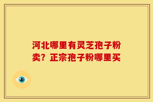 河北哪里有灵芝孢子粉卖?正宗孢子粉哪里买