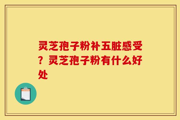 灵芝孢子粉补五脏感受?灵芝孢子粉有什么好处
