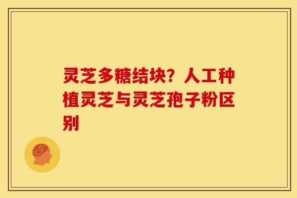 灵芝多糖结块？人工种植灵芝与灵芝孢子粉区别