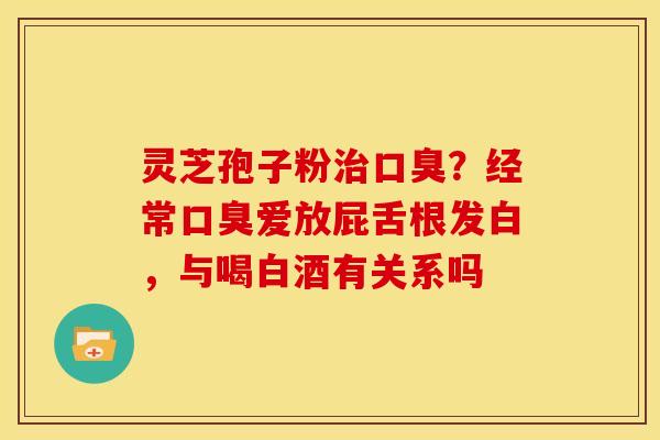 灵芝孢子粉治口臭?经常口臭爱放屁舌根发白,与喝白酒有关系吗