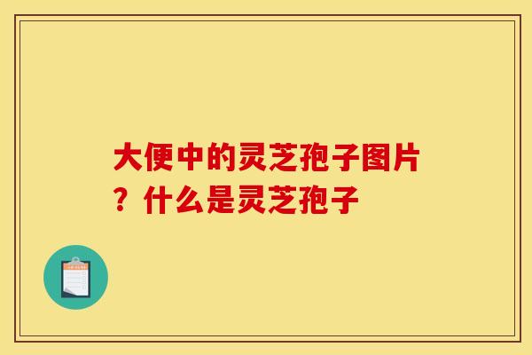 大便中的灵芝孢子图片?什么是灵芝孢子