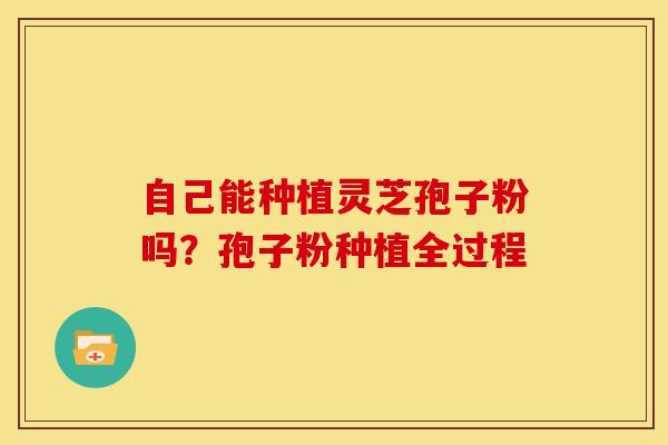 自己能种植灵芝孢子粉吗?孢子粉种植全过程