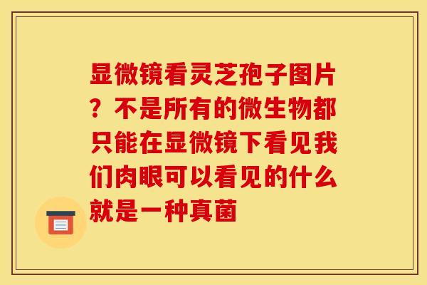 显微镜看灵芝孢子图片?不是所有的微生物都只能在显微镜下看见我们肉眼可以看见的什么就是一种真菌