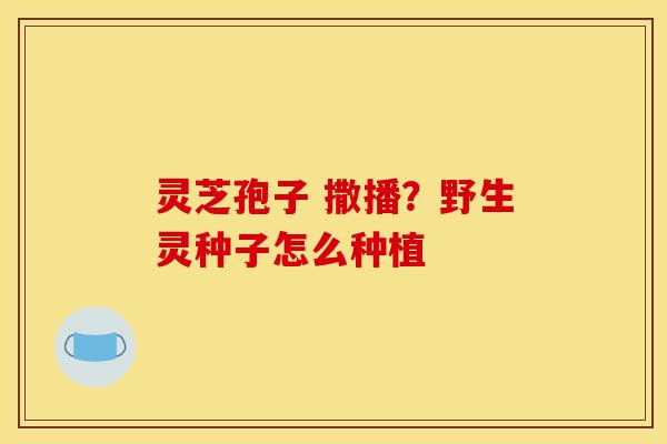 灵芝孢子 撒播?野生灵种子怎么种植