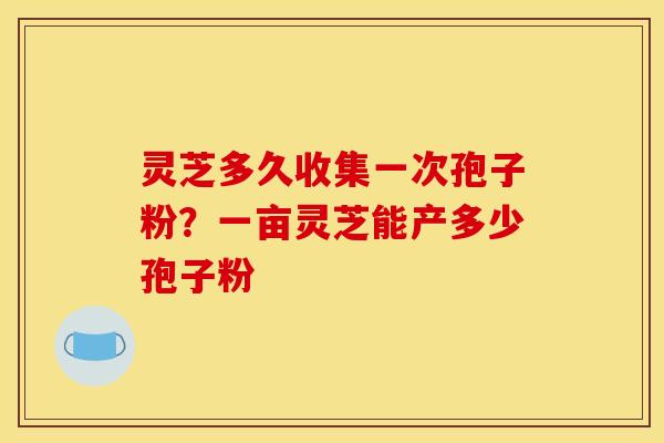 灵芝多久收集一次孢子粉？一亩灵芝能产多少孢子粉