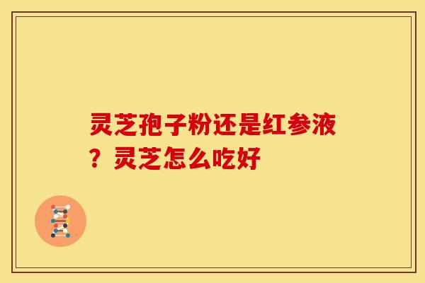 灵芝孢子粉还是红参液?灵芝怎么吃好