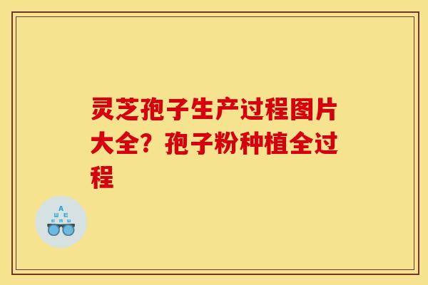 灵芝孢子生产过程图片大全?孢子粉种植全过程