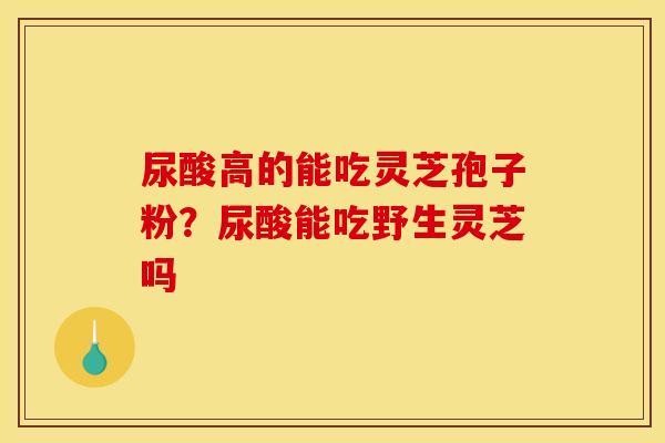 尿酸高的能吃灵芝孢子粉?尿酸能吃野生灵芝吗