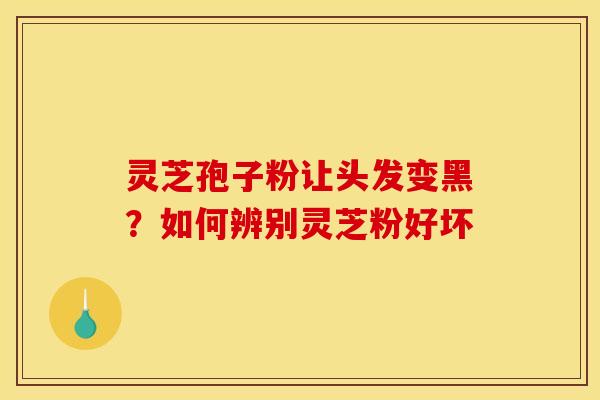 灵芝孢子粉让头发变黑？如何辨别灵芝粉好坏