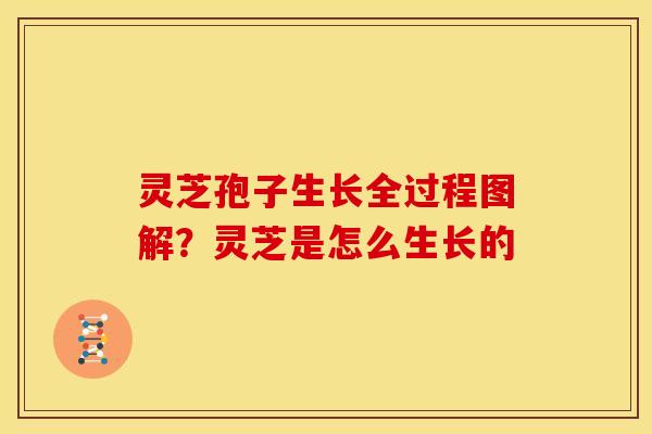 灵芝孢子生长全过程图解？灵芝是怎么生长的