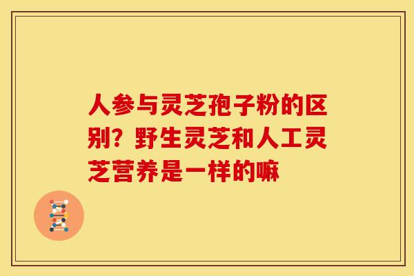 人参与灵芝孢子粉的区别?野生灵芝和人工灵芝营养是一样的嘛