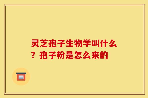 灵芝孢子生物学叫什么?孢子粉是怎么来的
