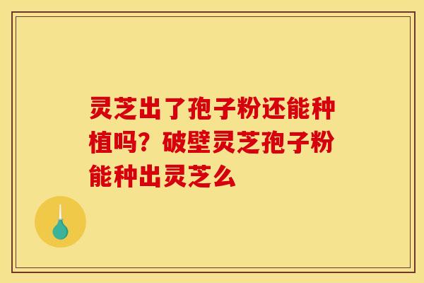 灵芝出了孢子粉还能种植吗?破壁灵芝孢子粉能种出灵芝么