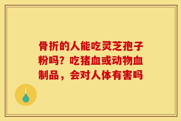 骨折的人能吃灵芝孢子粉吗?吃猪血或动物血制品,会对人体有害吗