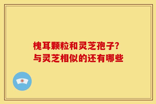槐耳颗粒和灵芝孢子?与灵芝相似的还有哪些