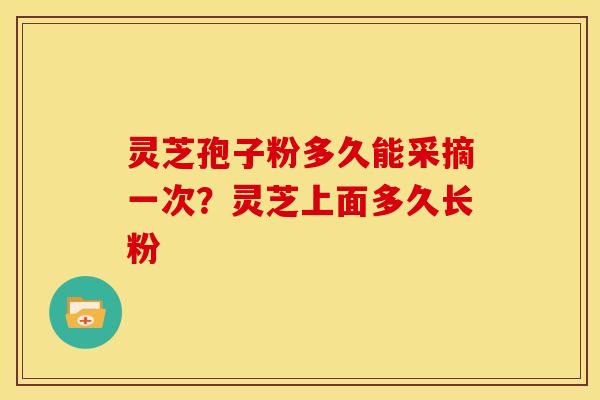 灵芝孢子粉多久能采摘一次?灵芝上面多久长粉