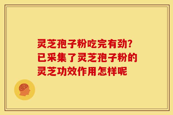 灵芝孢子粉吃完有劲?已采集了灵芝孢子粉的灵芝功效作用怎样呢