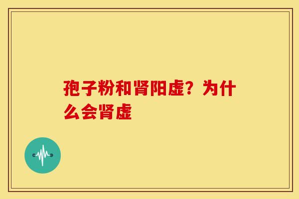 孢子粉和肾阳虚?为什么会肾虚
