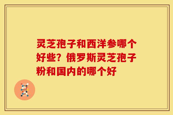灵芝孢子和西洋参哪个好些?俄罗斯灵芝孢子粉和国内的哪个好