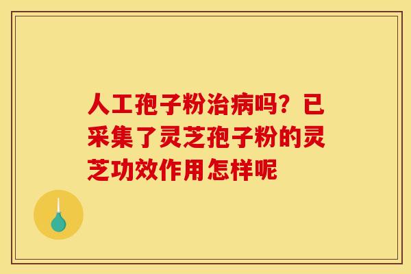 人工孢子粉治病吗？已采集了灵芝孢子粉的灵芝功效作用怎样呢
