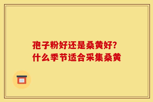 孢子粉好还是桑黄好?什么季节适合采集桑黄