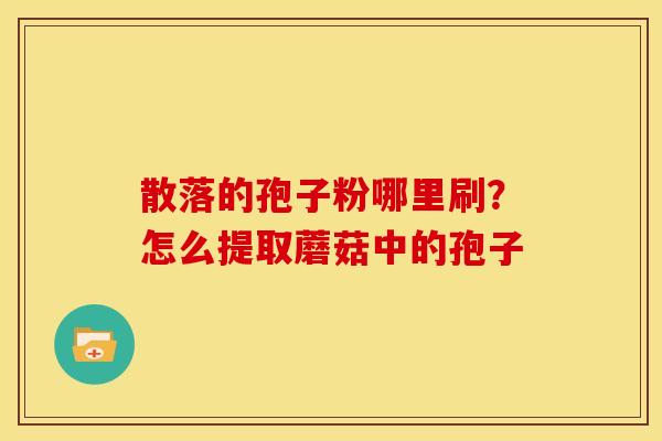 散落的孢子粉哪里刷?怎么提取蘑菇中的孢子