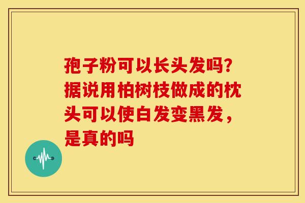 孢子粉可以长头发吗?据说用柏树枝做成的枕头可以使白发变黑发,是真的吗