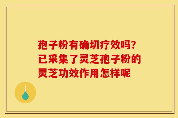 孢子粉有确切疗效吗?已采集了灵芝孢子粉的灵芝功效作用怎样呢