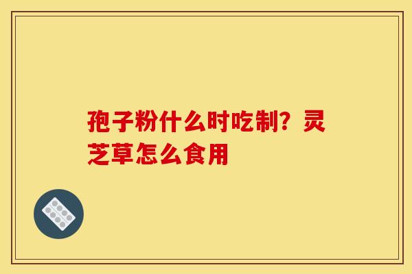 孢子粉什么时吃制？灵芝草怎么食用