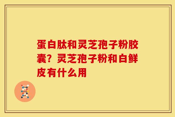 蛋白肽和灵芝孢子粉胶囊？灵芝孢子粉和白鲜皮有什么用