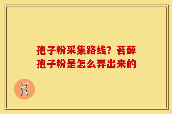 孢子粉采集路线?苔藓孢子粉是怎么弄出来的