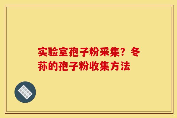 实验室孢子粉采集?冬荪的孢子粉收集方法