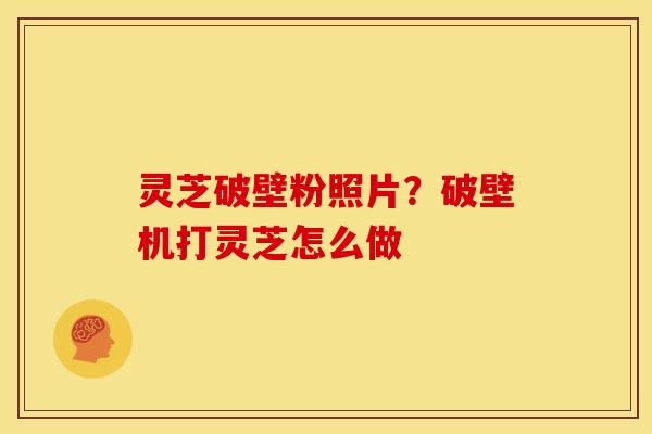 灵芝破壁粉照片？破壁机打灵芝怎么做