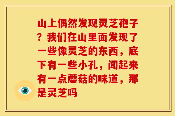 山上偶然发现灵芝孢子?我们在山里面发现了一些像灵芝的东西,底下有一些小孔,闻起来有一点蘑菇的味道,那是灵芝吗