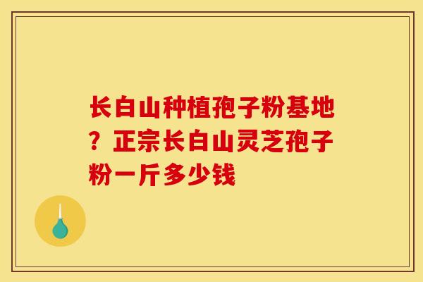 长白山种植孢子粉基地？正宗长白山灵芝孢子粉一斤多少钱